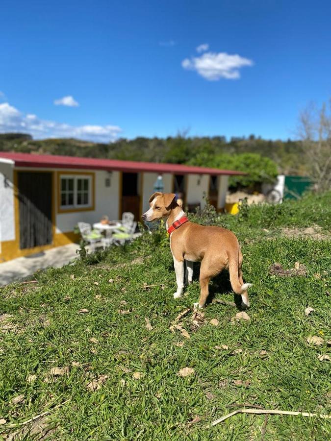 Casinha De Ferias No Campo - Quintinha Dos Cavalos - Arruda Dos Vinhos Sabugos Exteriér fotografie