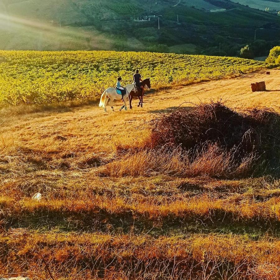 Casinha De Ferias No Campo - Quintinha Dos Cavalos - Arruda Dos Vinhos Sabugos Exteriér fotografie