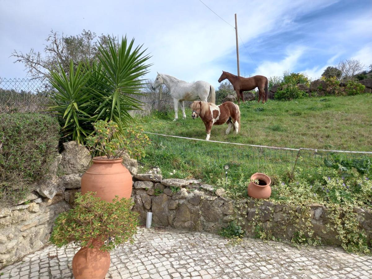 Casinha De Ferias No Campo - Quintinha Dos Cavalos - Arruda Dos Vinhos Sabugos Exteriér fotografie