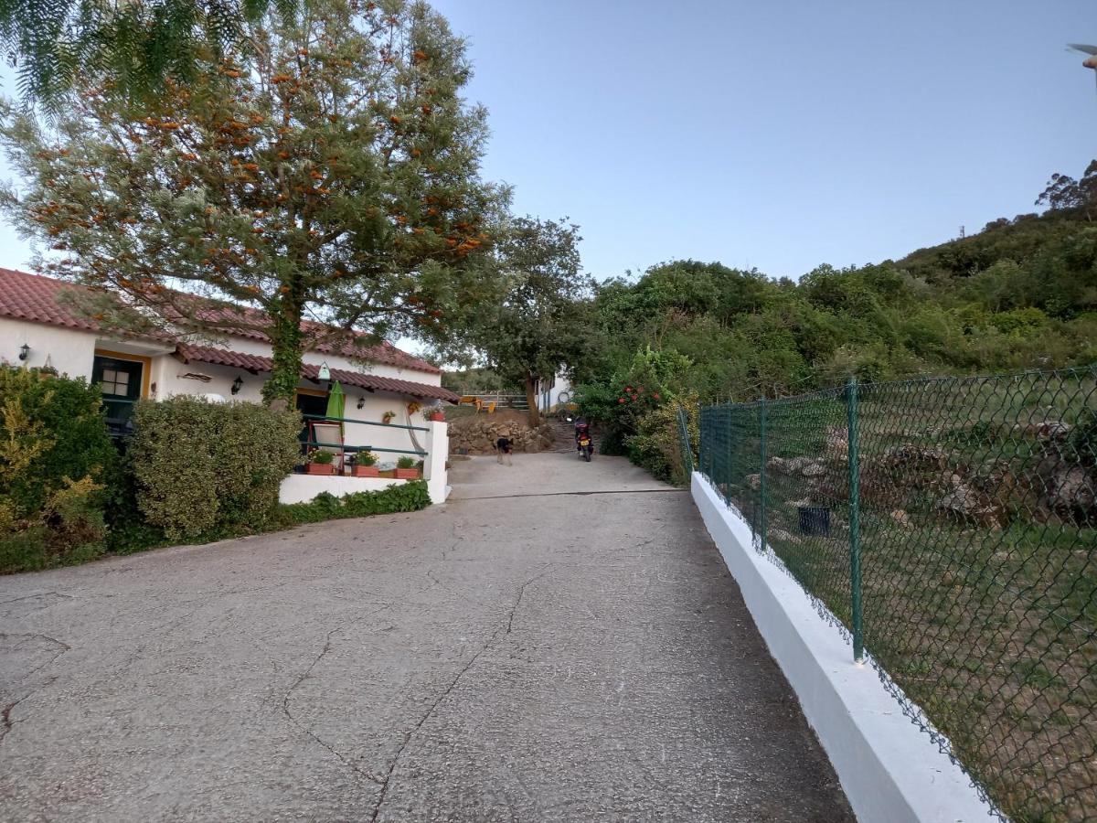 Casinha De Ferias No Campo - Quintinha Dos Cavalos - Arruda Dos Vinhos Sabugos Exteriér fotografie